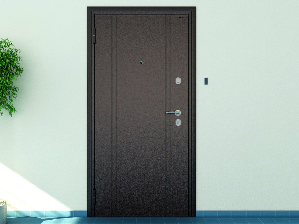 door_entrance_metal_optim_2