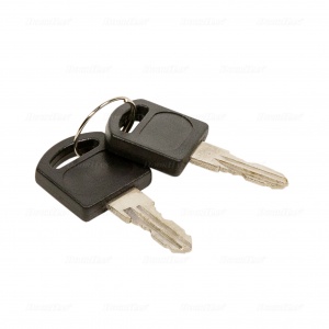 Ключ замка крышки корпуса ARM-320 (2 шт)